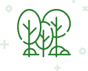 Смородина чёрная Зелёная дымка
